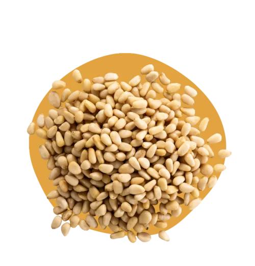 Pignons de Pin Sibirica - 1 Kg